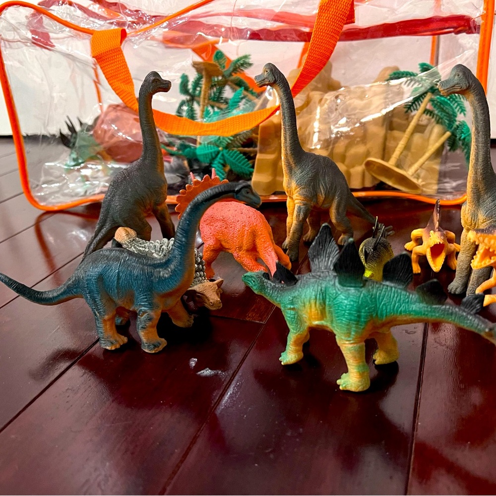 Dinosaur 🦕 Playing Set